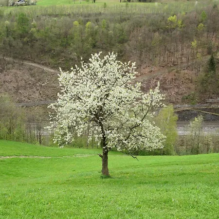 Gruen By Interhome Appartamento