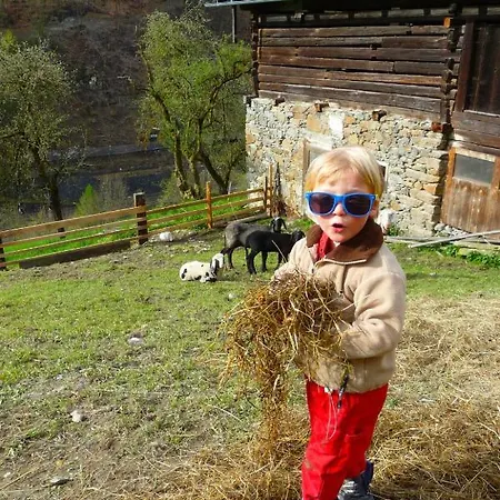 Gruen By Interhome Lend