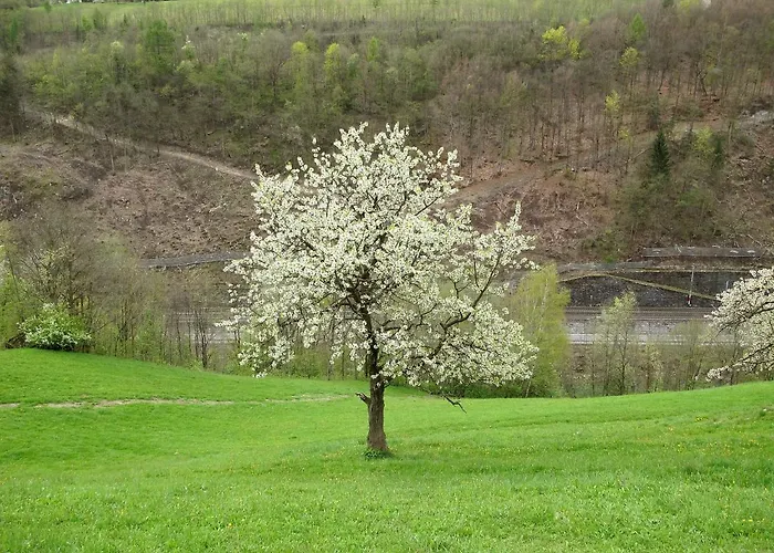 Gruen By Interhome Appartement