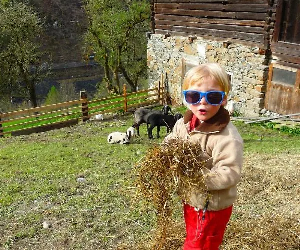 Gruen By Interhome Lend